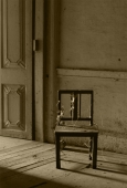 IIP Online Student Photography